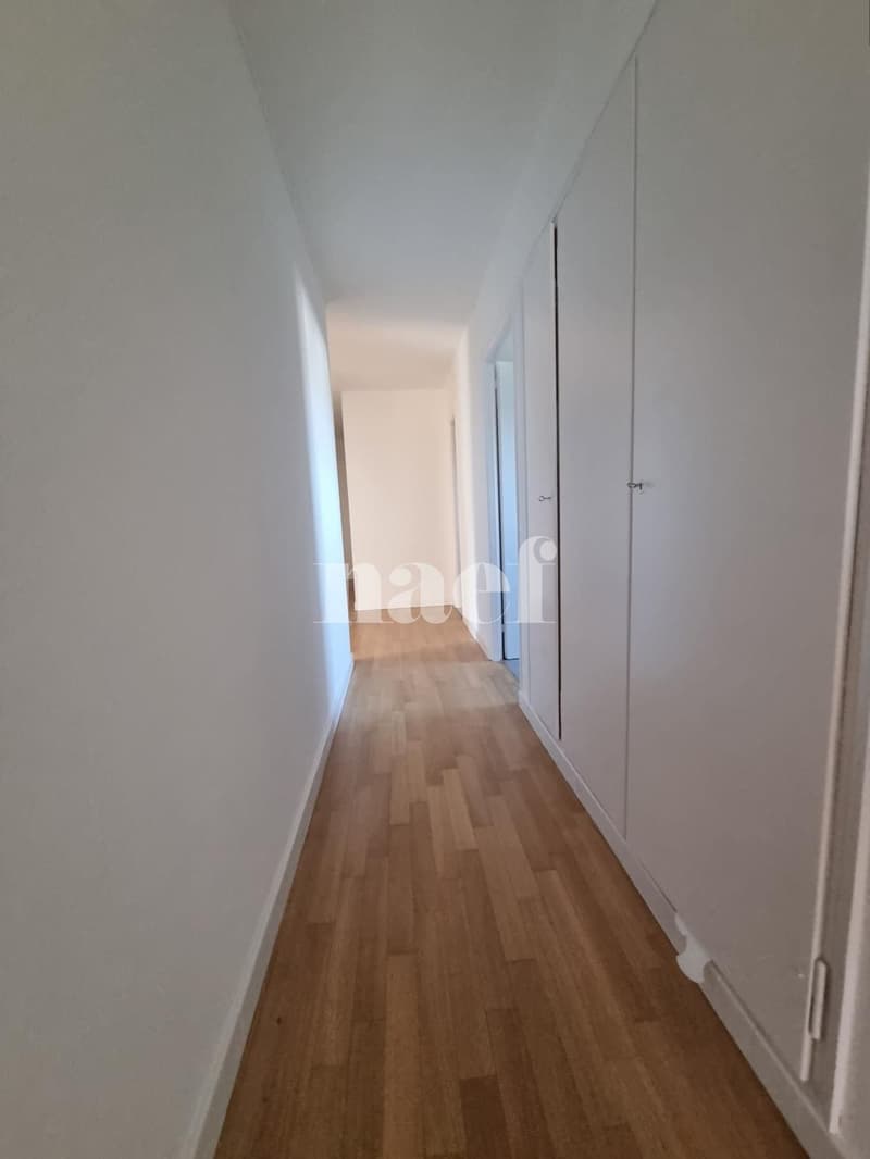 4 pièces rénové récemment proche du centre avec balcon (8)