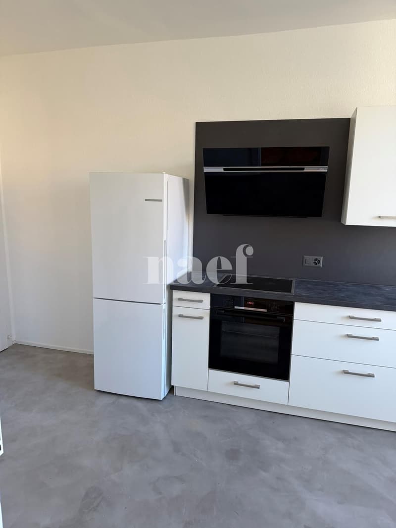 Appartement de 3 pièces rénové au 3e étage (5)