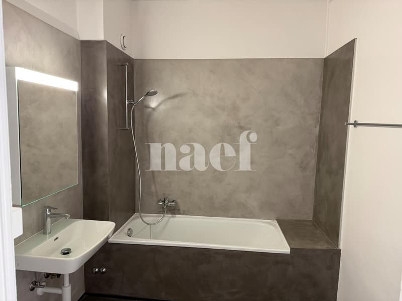Appartement de 3 pièces rénové au 3e étage (6)