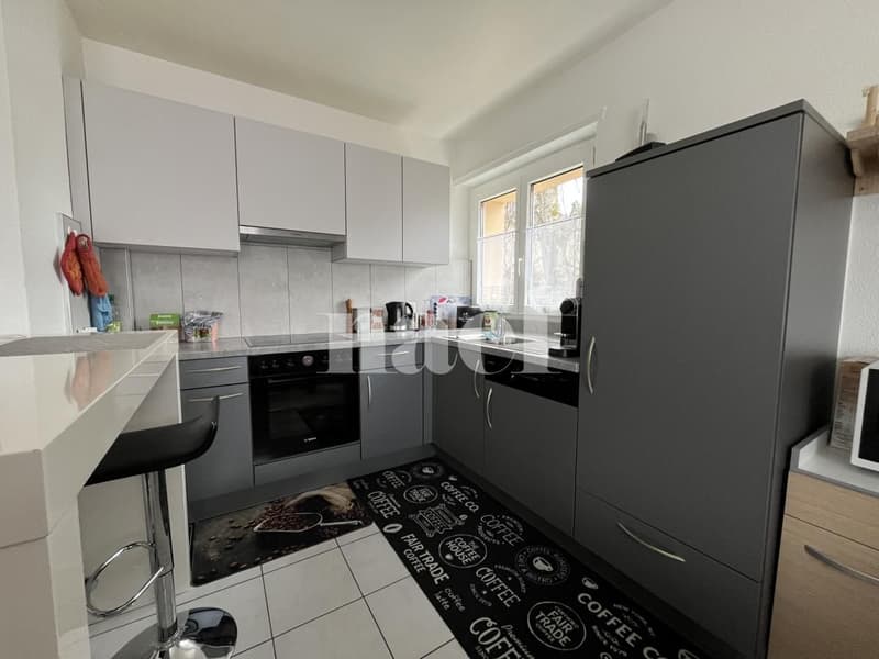 Appartement de 2.5 pièces dans un quartier calme (2)