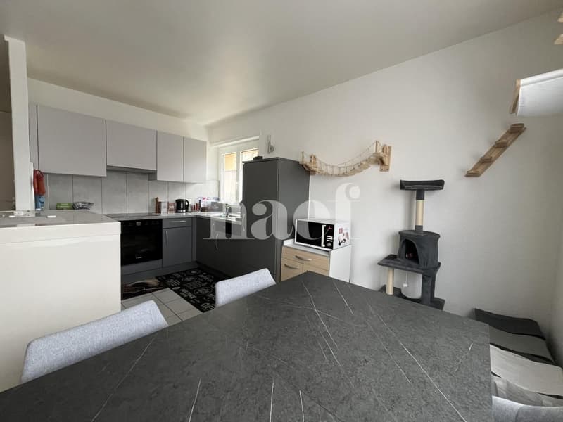 Appartement de 2.5 pièces dans un quartier calme (3)