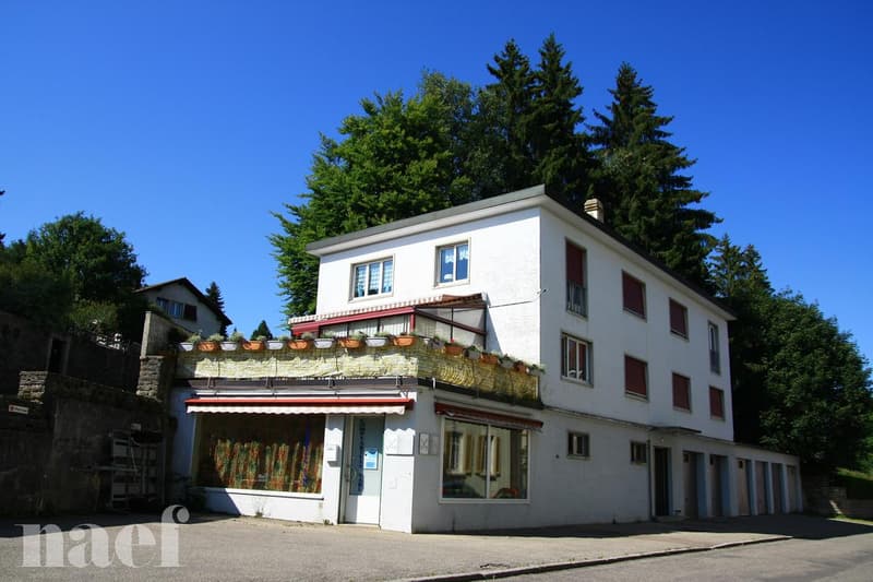 Appartement de 2.5 pièces dans un quartier calme (1)