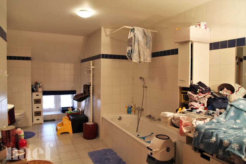 Superbe et grand logement lumineux de 5 pièces (12)