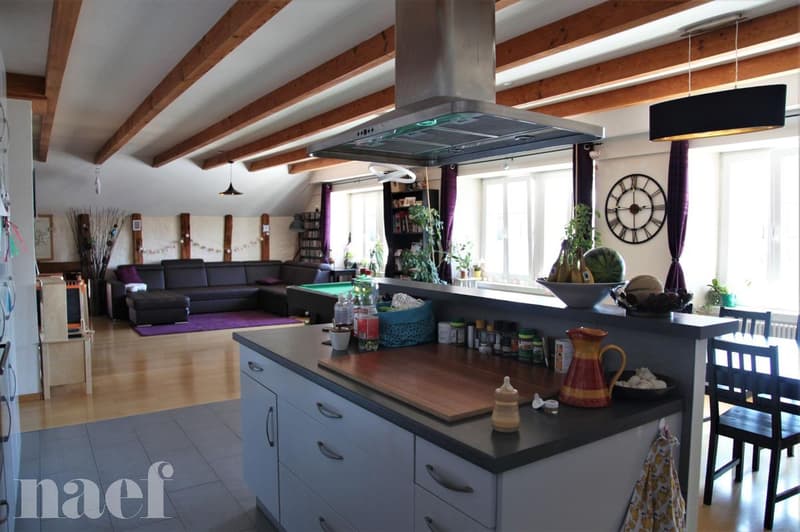 Superbe et grand logement lumineux de 5 pièces (6)