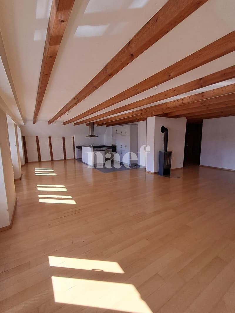 Superbe et grand logement lumineux de 5 pièces (1)
