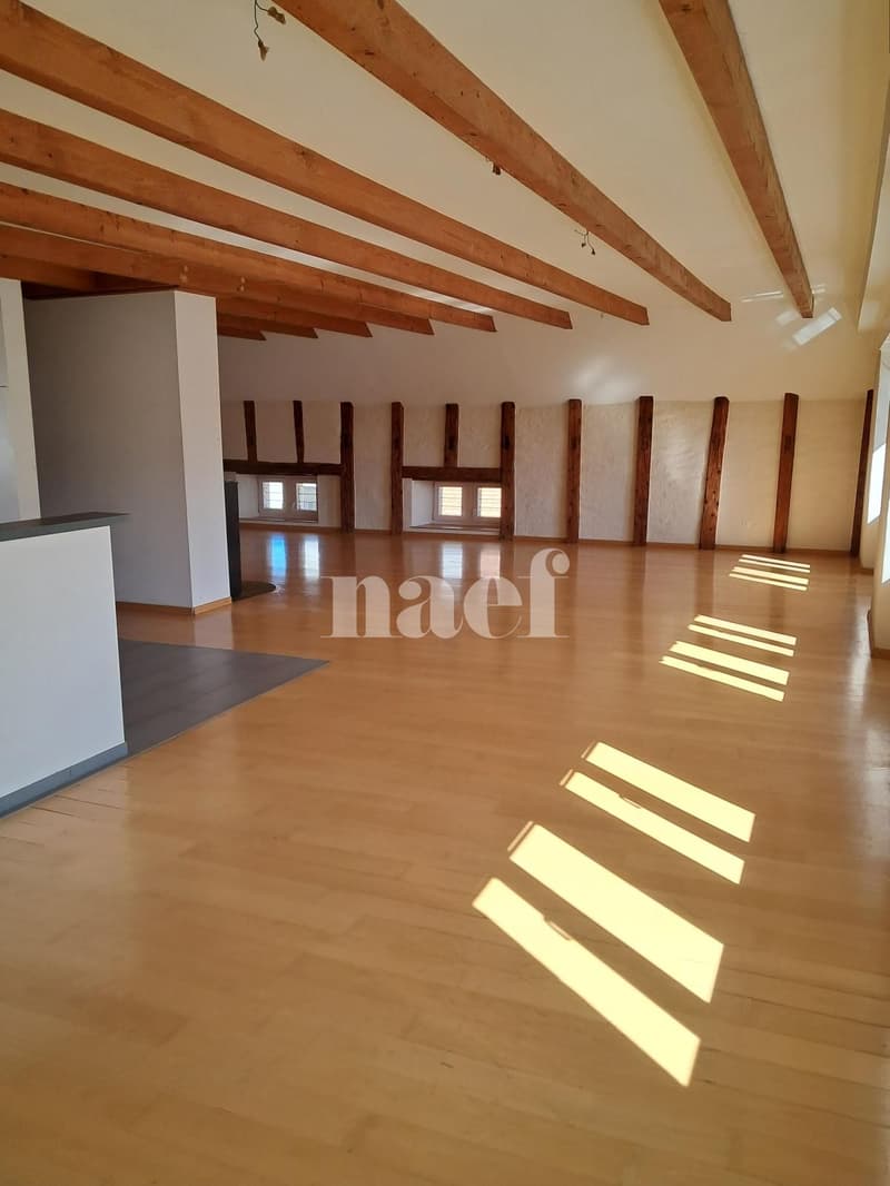 Superbe et grand logement lumineux de 5 pièces (2)