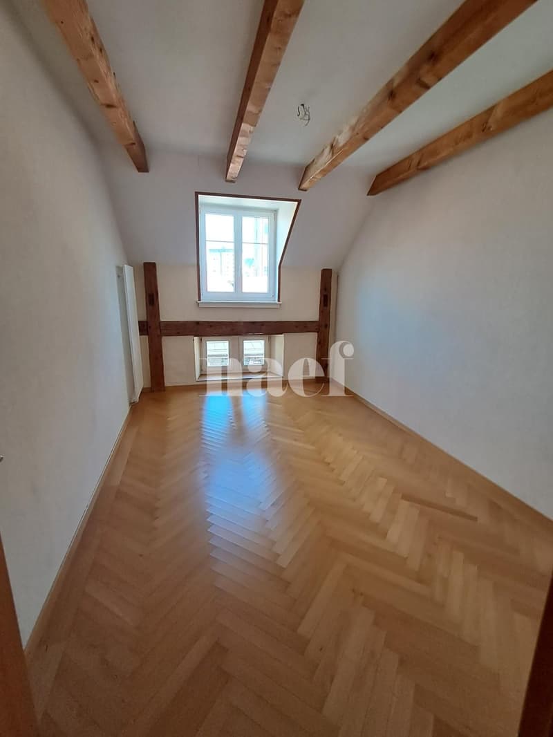 Superbe et grand logement lumineux de 5 pièces (5)