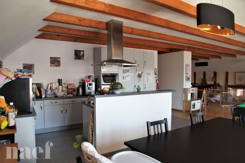 Superbe et grand logement lumineux de 5 pièces (4)