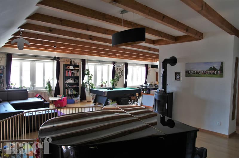 Superbe et grand logement lumineux de 5 pièces (5)