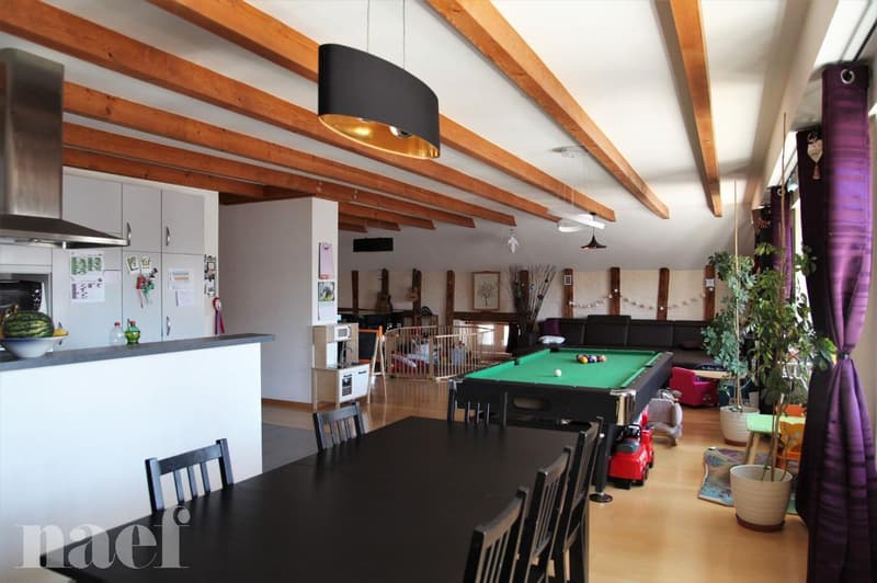 Superbe et grand logement lumineux de 5 pièces (2)