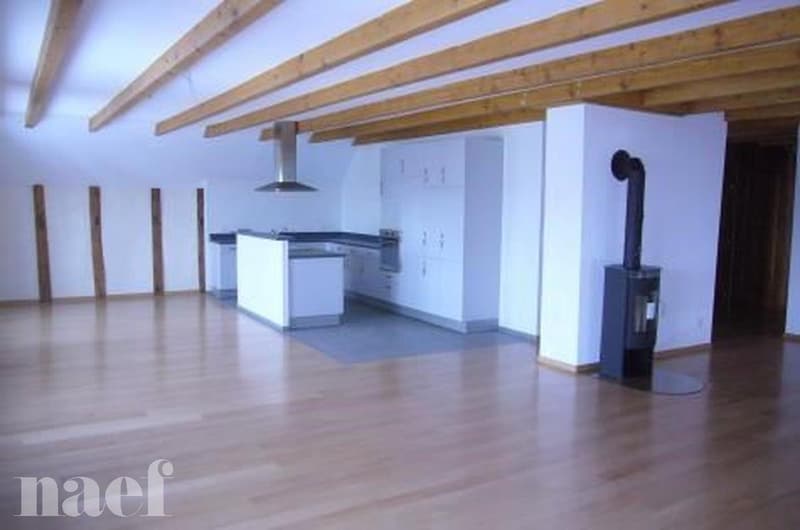 Superbe et grand logement lumineux de 5 pièces (1)