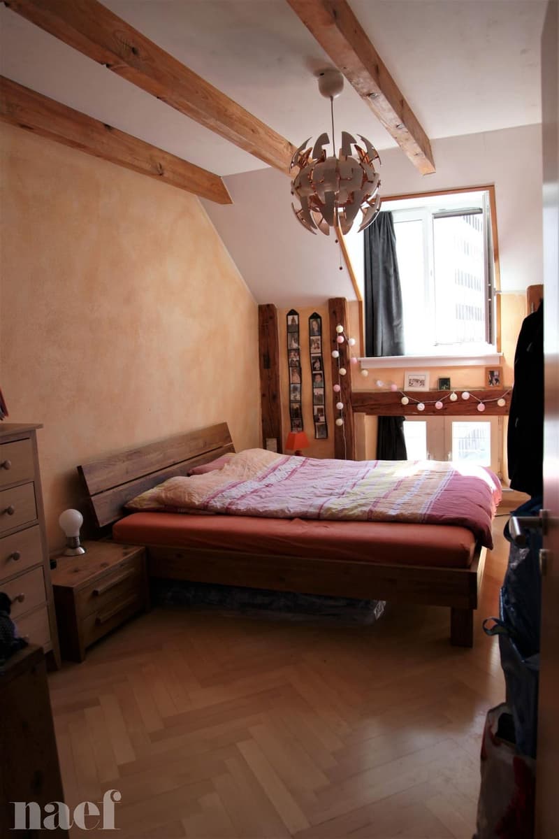 Superbe et grand logement lumineux de 5 pièces (8)