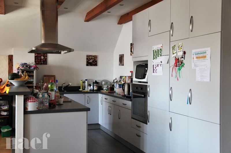 Superbe et grand logement lumineux de 5 pièces (7)