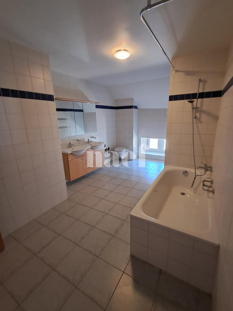 Superbe et grand logement lumineux de 5 pièces (4)
