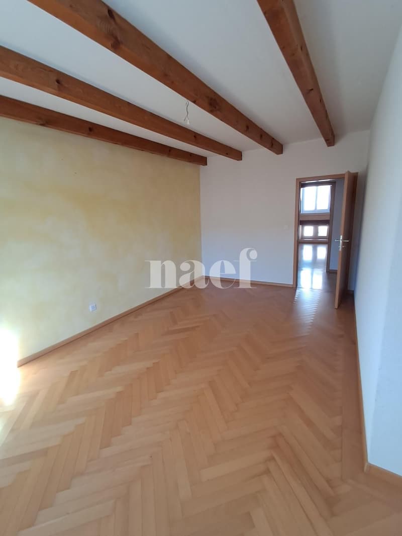 Superbe et grand logement lumineux de 5 pièces (6)