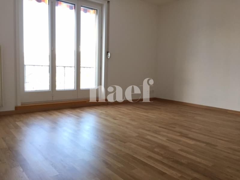 Appartement de 4.5 pièces dans la coopérative des Mélèzes (2)