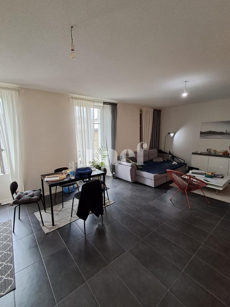 Joli 2.5 pièces avec terrasse (3)