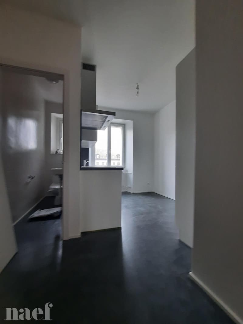 Charmant appartement de 3 pièces dans un quartier calme (3)