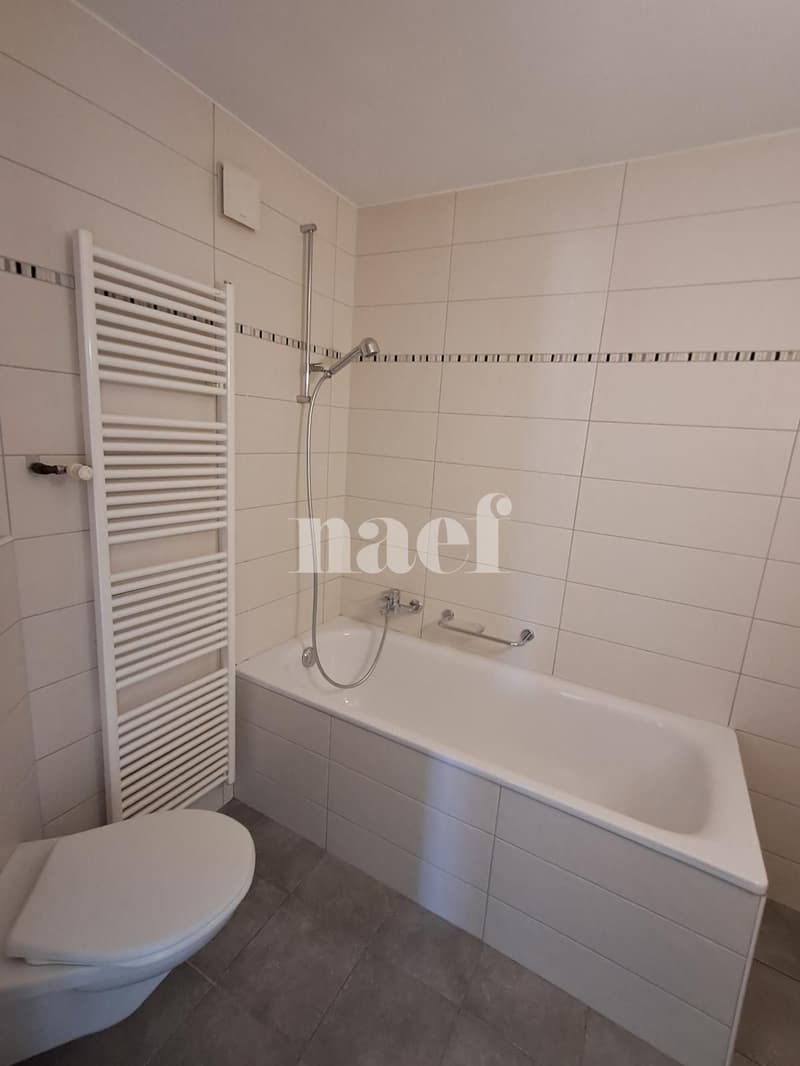 Appartement de 3.5 pièces avec balcon (7)