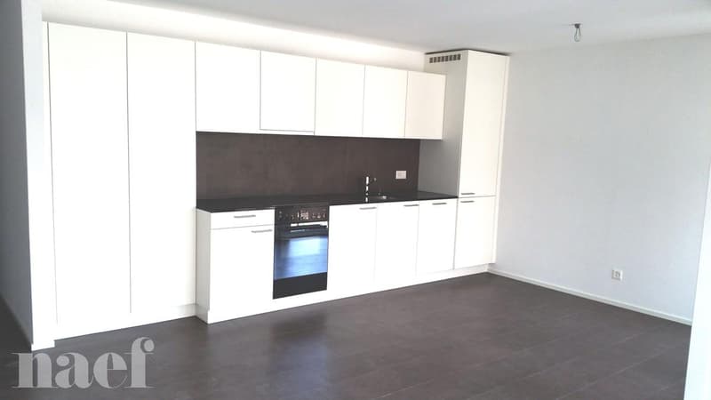 A louer magnifique 3.5 pièces au 3ème étage (4)