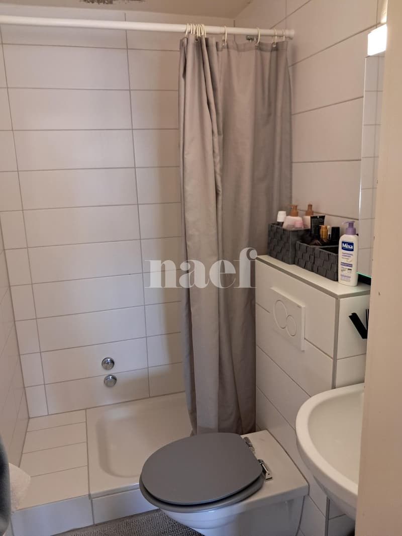 Appartement de 1.5 pièces au 5e étage avec ascenseur (4)