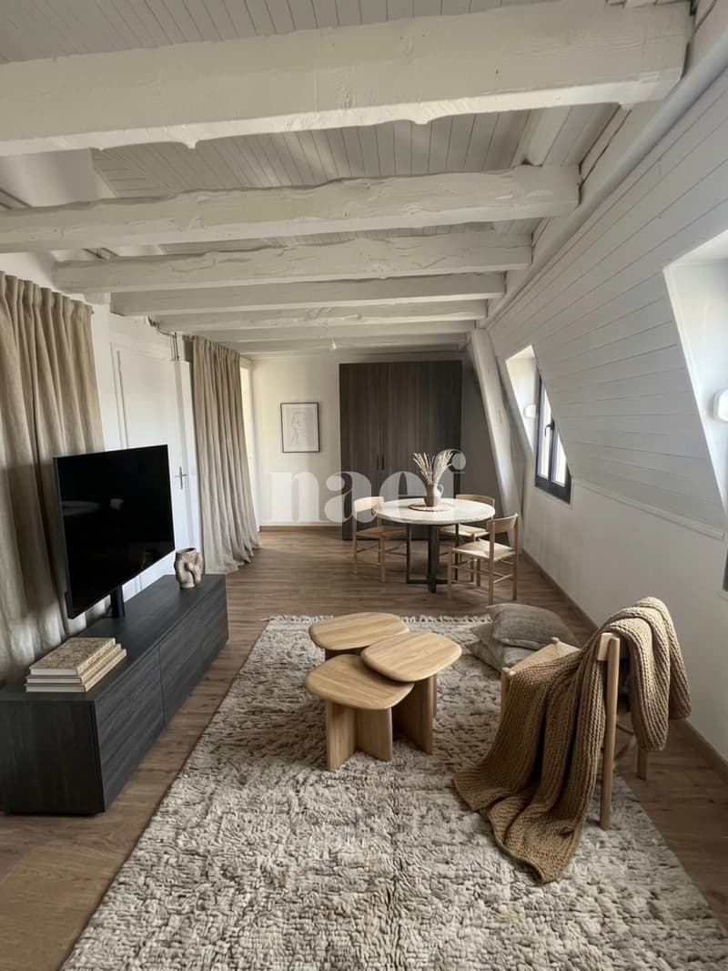Appartement de 1.5 pièces au 5e étage avec ascenseur (1)