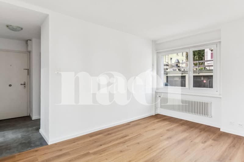 Appartement de 2 pièces entièrement rénové avec balcon au rez (6)