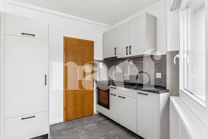 Appartement de 2 pièces entièrement rénové avec balcon au rez (4)