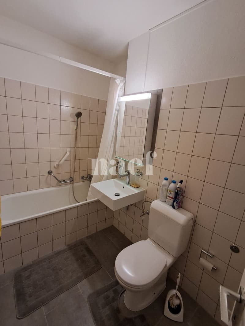 Appartement MEUBLÉ (à choix) de 2 pièces (5)