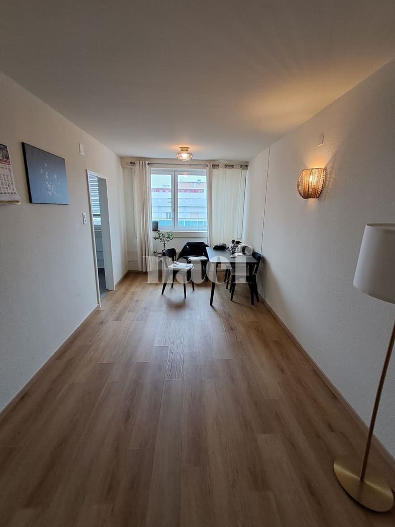 Appartement MEUBLÉ (à choix) de 2 pièces (4)