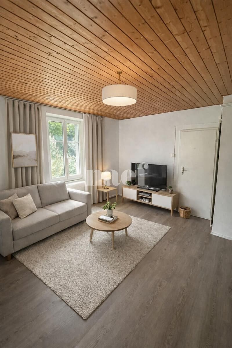Appartement de 2.5 pièces au centre-ville avec jardin (3)