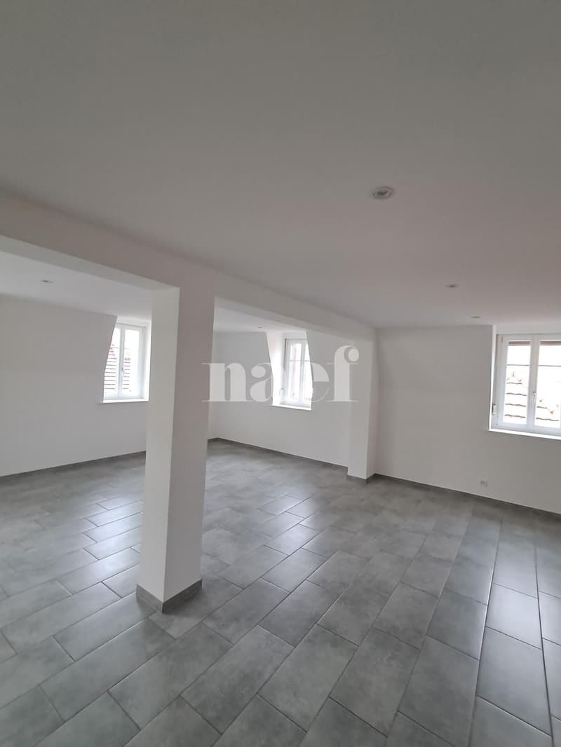 Bel appartement de 3,5 pièces au 4ème étage avec ascenseur (2)