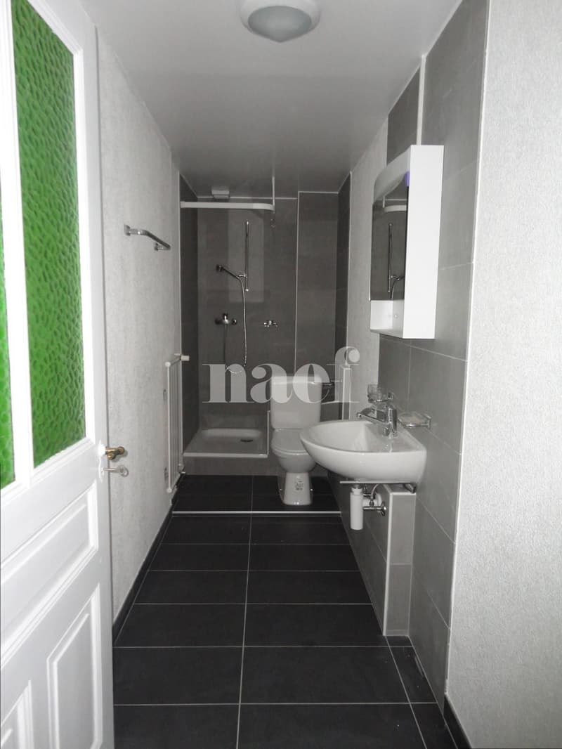 Appartement spacieux de 4 pièces au 1er étage EST (6)