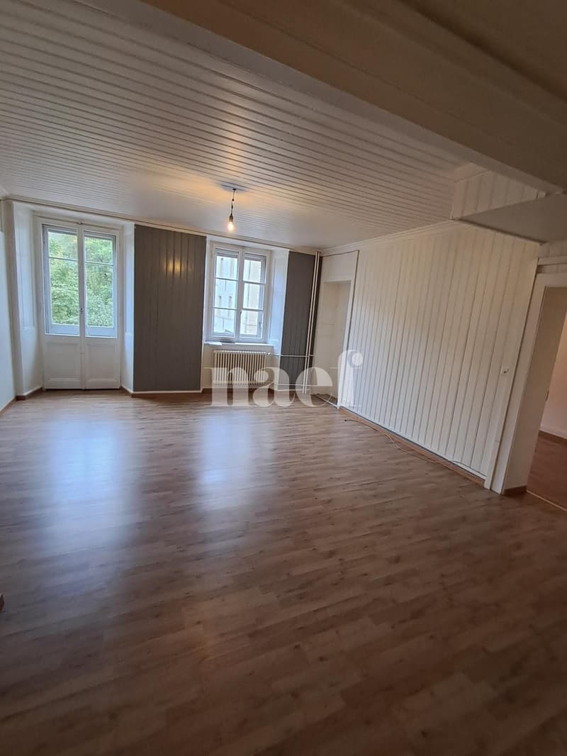 1er loyer net offert - Appartement spacieux de 4 pièces (2)