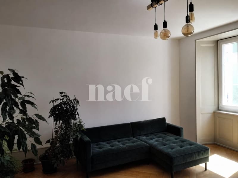 Appartement de 3 pièces proche de la place du marché (7)