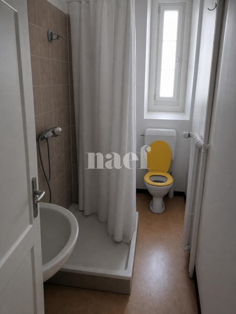 Appartement de 3 pièces proche de la place du marché (6)