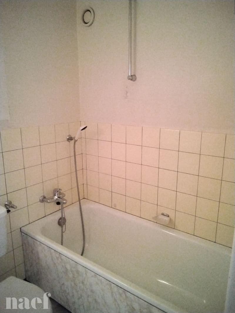 Sympathique 2 pièces avec balcon (8)