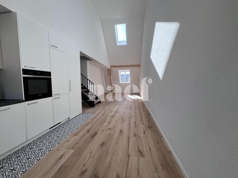 Magnifique duplex de 4,5 pièces au 4ème étage Ouest (2)