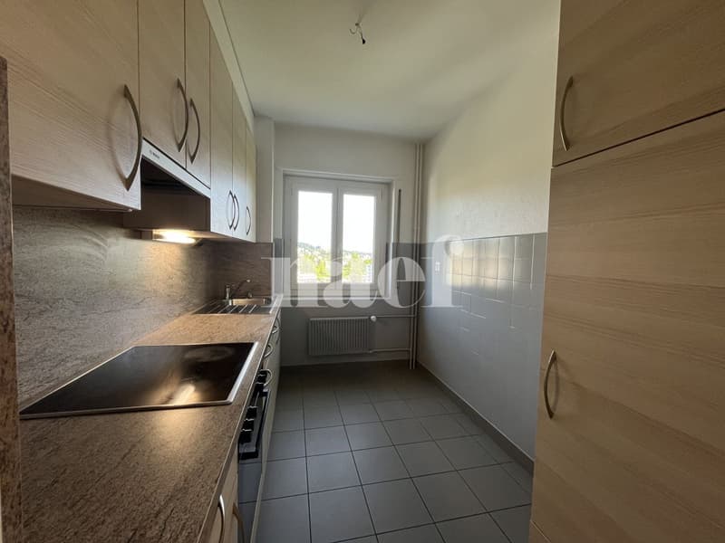 Magnifique appartement de 3 pièces au 2ème étage (3)