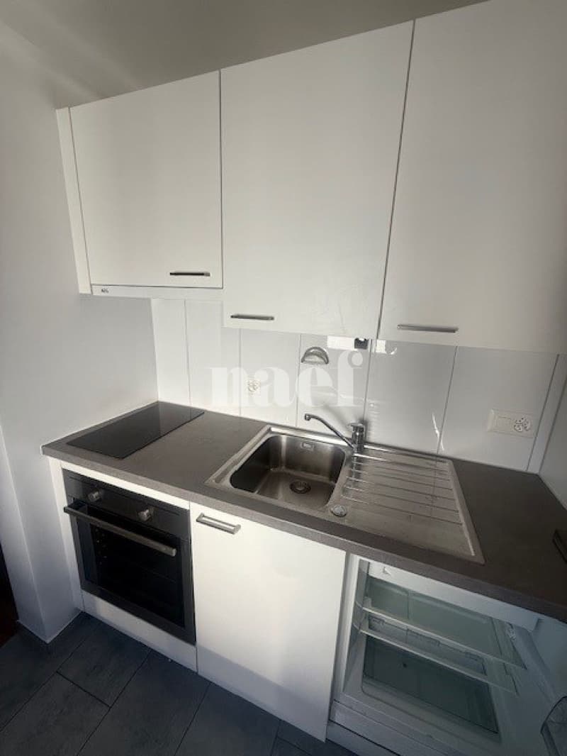 Appartement de 1.5 pièces au 5e étage avec ascenseur (5)