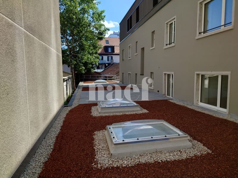 A louer magnifique 5 pièces rénové avec terrasse (4)
