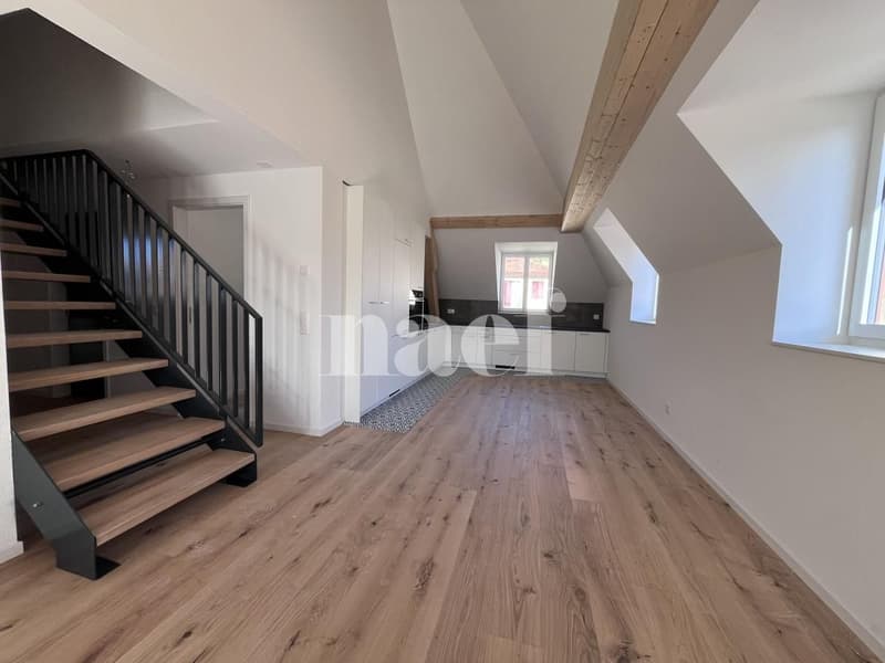 Magnifique duplex de 4,5 pièces au 4ème étage Est (1)