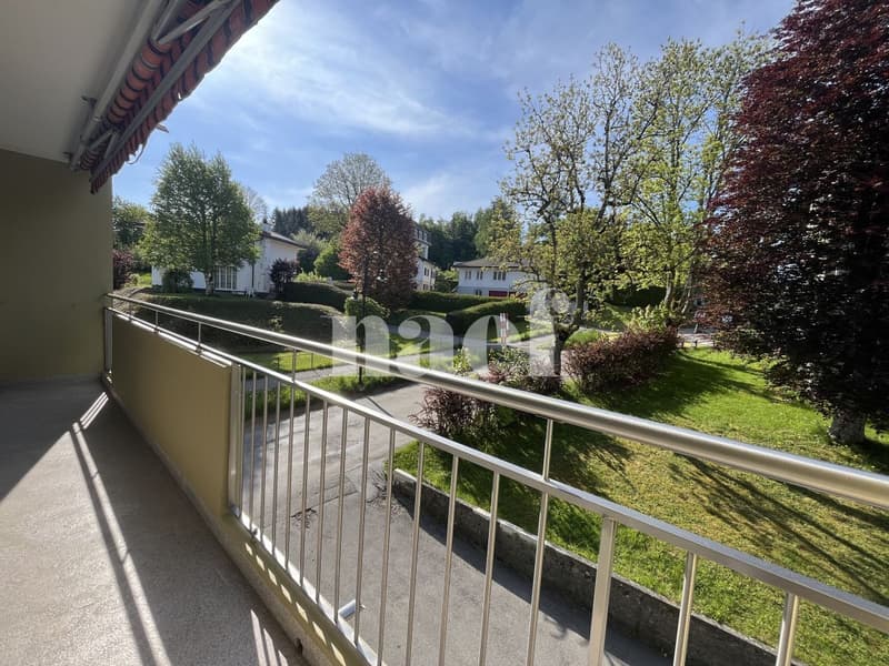 Magnifique appartement de 3 pièces au 2ème étage (9)