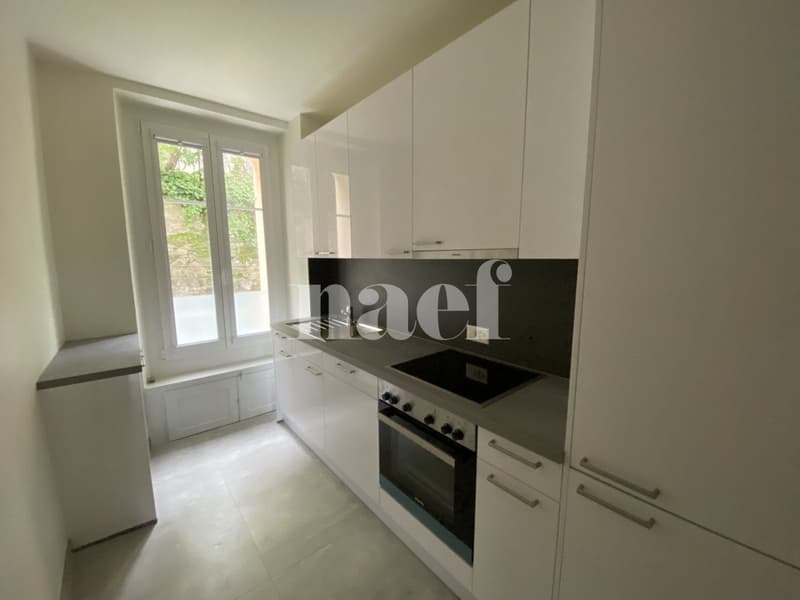 Bel appartement de 3 pièces au rez-de-chaussée (1)