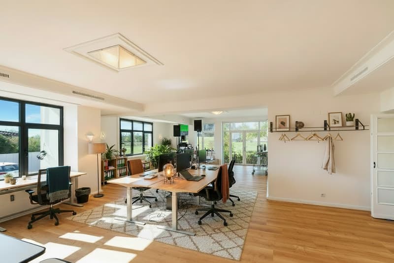 Large wooden desk, multiple office chairs, plants, lamps, modern office equipment, window