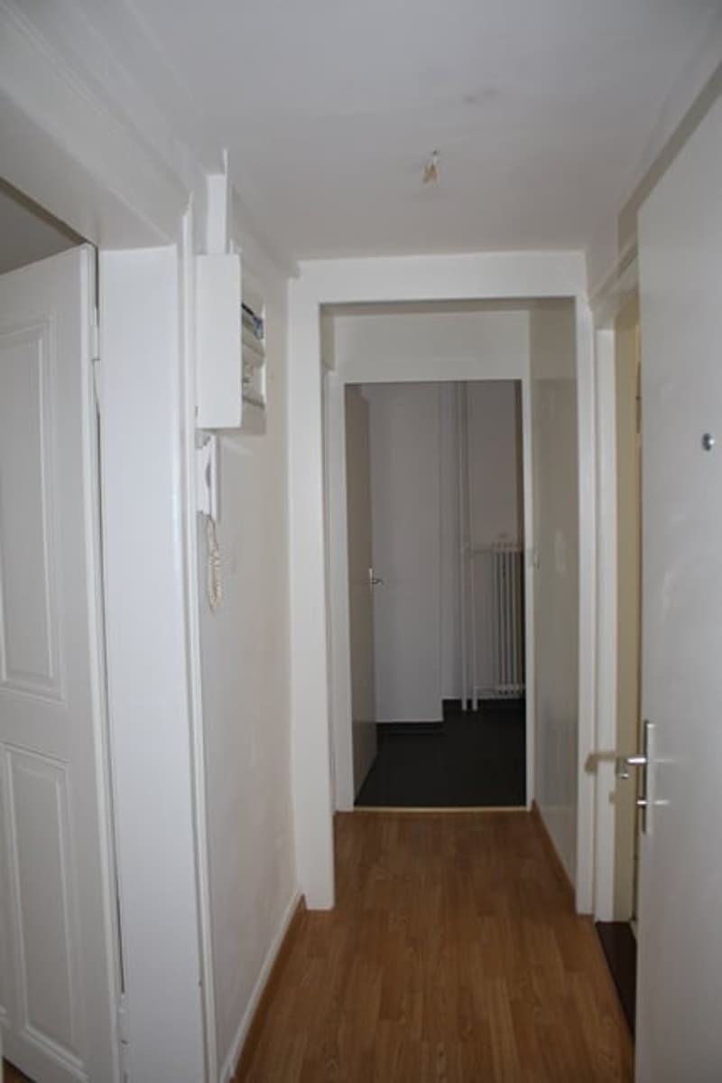 Helle 2-Zimmer-Wohnung an zentraler Lage in St. Gallen (2)