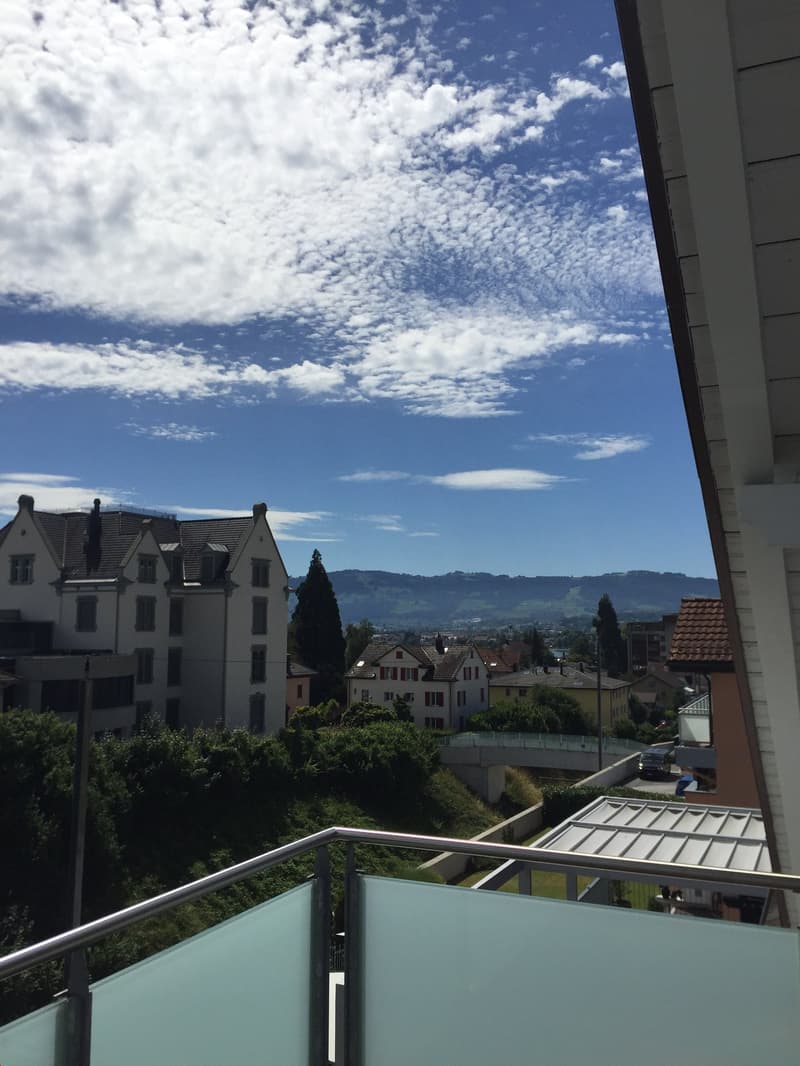 Dachwohnung mit Balkon in Arbon (6)
