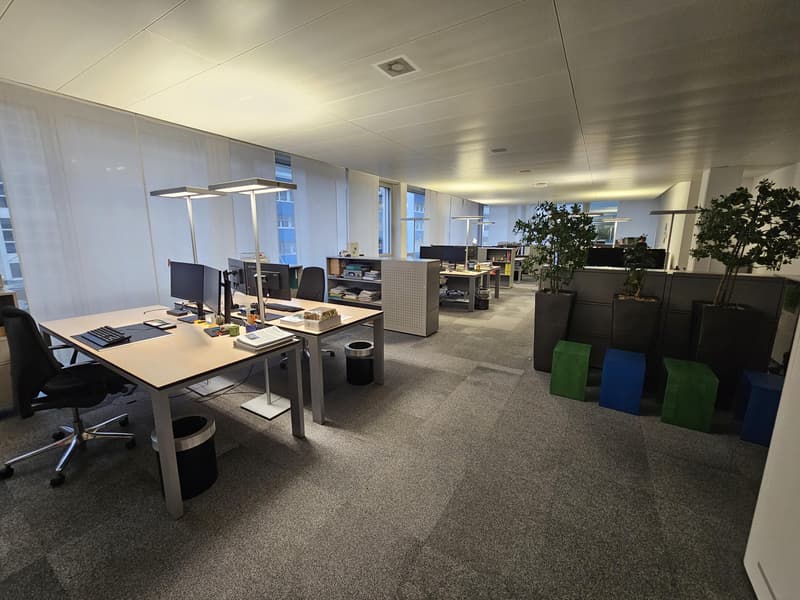 Untermiete  1'250 m² bezugsbereite und möblierte Bürofläche (5)