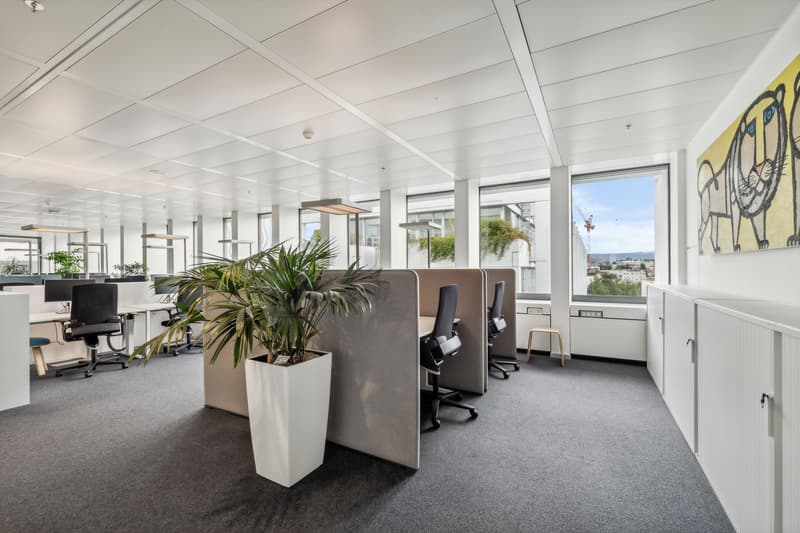 Office _ Beispielfoto aus dem 5.OG
