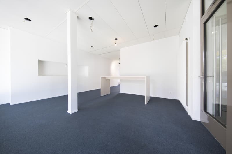 Büroliegenschaft im Zentrum von Olten (2)